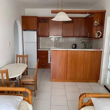 Two Palm Trees 아다마스