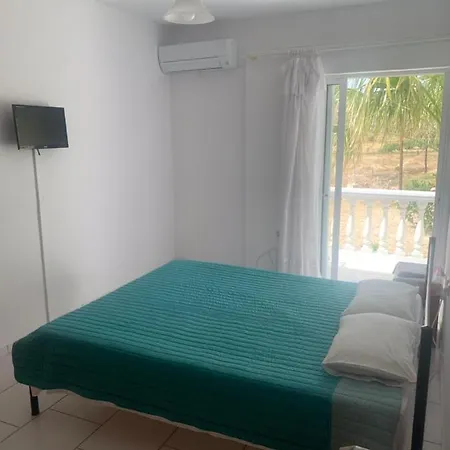 Two Palm Trees * 아다마스