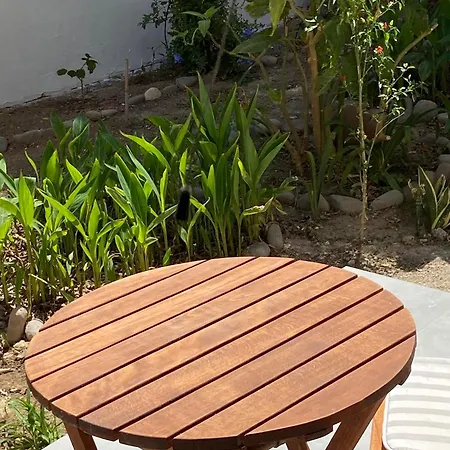 Two Palm Trees 아다마스