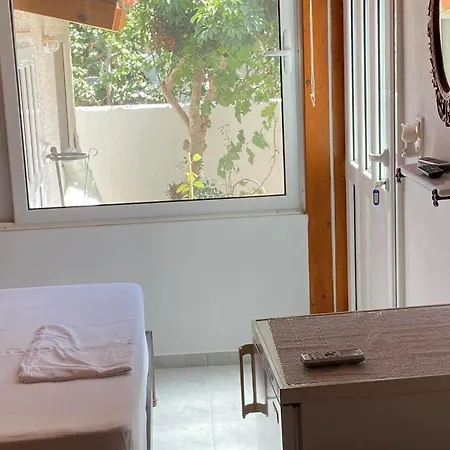 Two Palm Trees * 아다마스