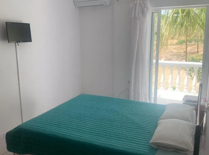 Two Palm Trees * آداماس