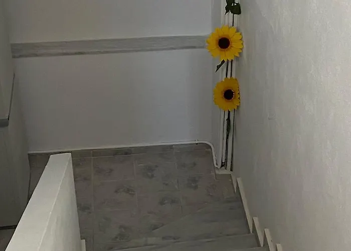 Two Palm Trees شقة *