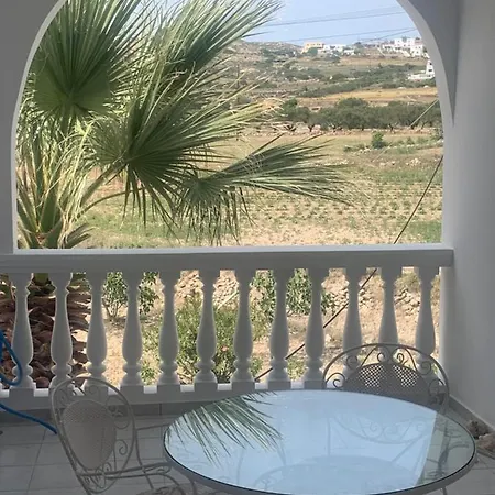 Two Palm Trees *
