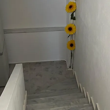 Two Palm Trees Apartmán *