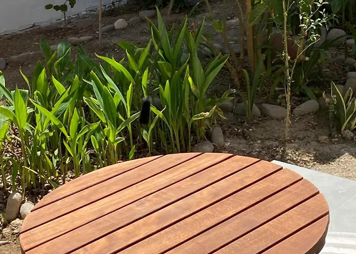 Two Palm Trees Adamantas (Milos)